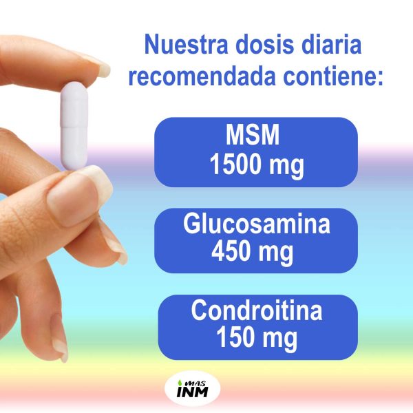 MSM de alta concentración con glucosamina y condroitina. Refuerza las articulaciones.