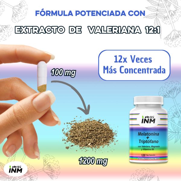 Melatonina con valeriana concentrada para un mejor descanso y sueño