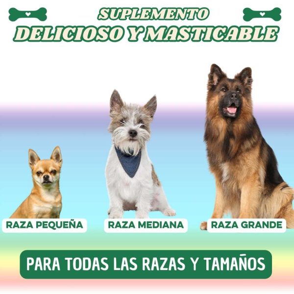 Suplemento Masinmune Dog Complex para la vitalidad de perros