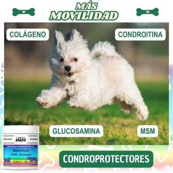 Suplemento Masinmune Dog Complex para el sistema inmunológico canino