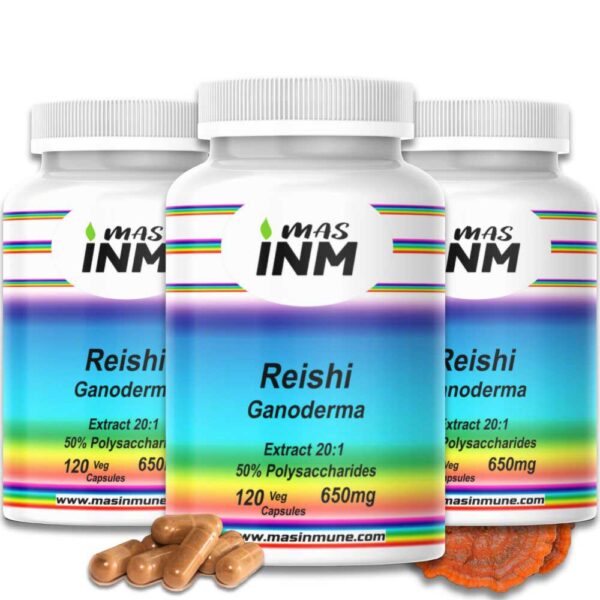 Cápsulas de suplemento alimenticio de extracto de Reishi ganoderma con concentración 20:1"