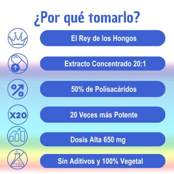 Pack Ahorro de REISHI GANODERMA - 360 Cápsulas - Imagen 3