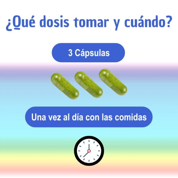Cápsulas ecológicas de Moringa Oleifera 495 mg - 300 unidades para bienestar general.