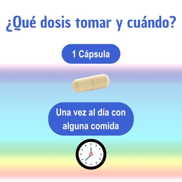 Beneficios principales del suplemento multivitamínico: energía sostenida, mejora del sistema inmune, protección celular y rendimiento cognitivo