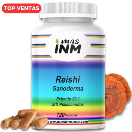 Cápsulas de suplemento alimenticio de extracto de Reishi ganoderma con concentración 20:1